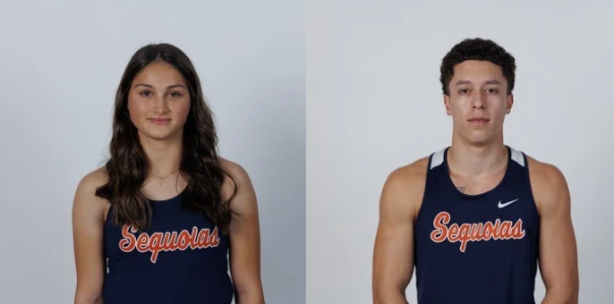 Giants produce pair of state track and field champions in Bagley, Reed