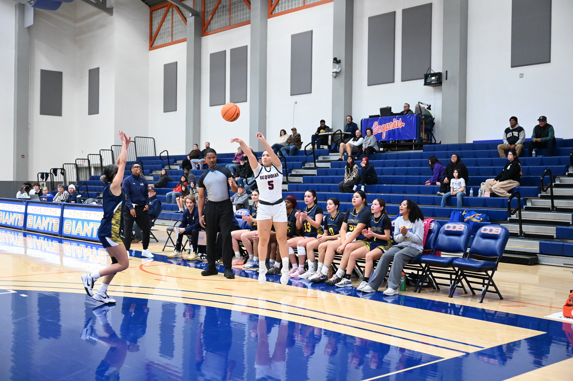 College of the Sequoias' Sydney Chesnut (5) in the 89-50 win over Allan Hancock College on December 9, 2025. (Norma Foster / COS Athletics)