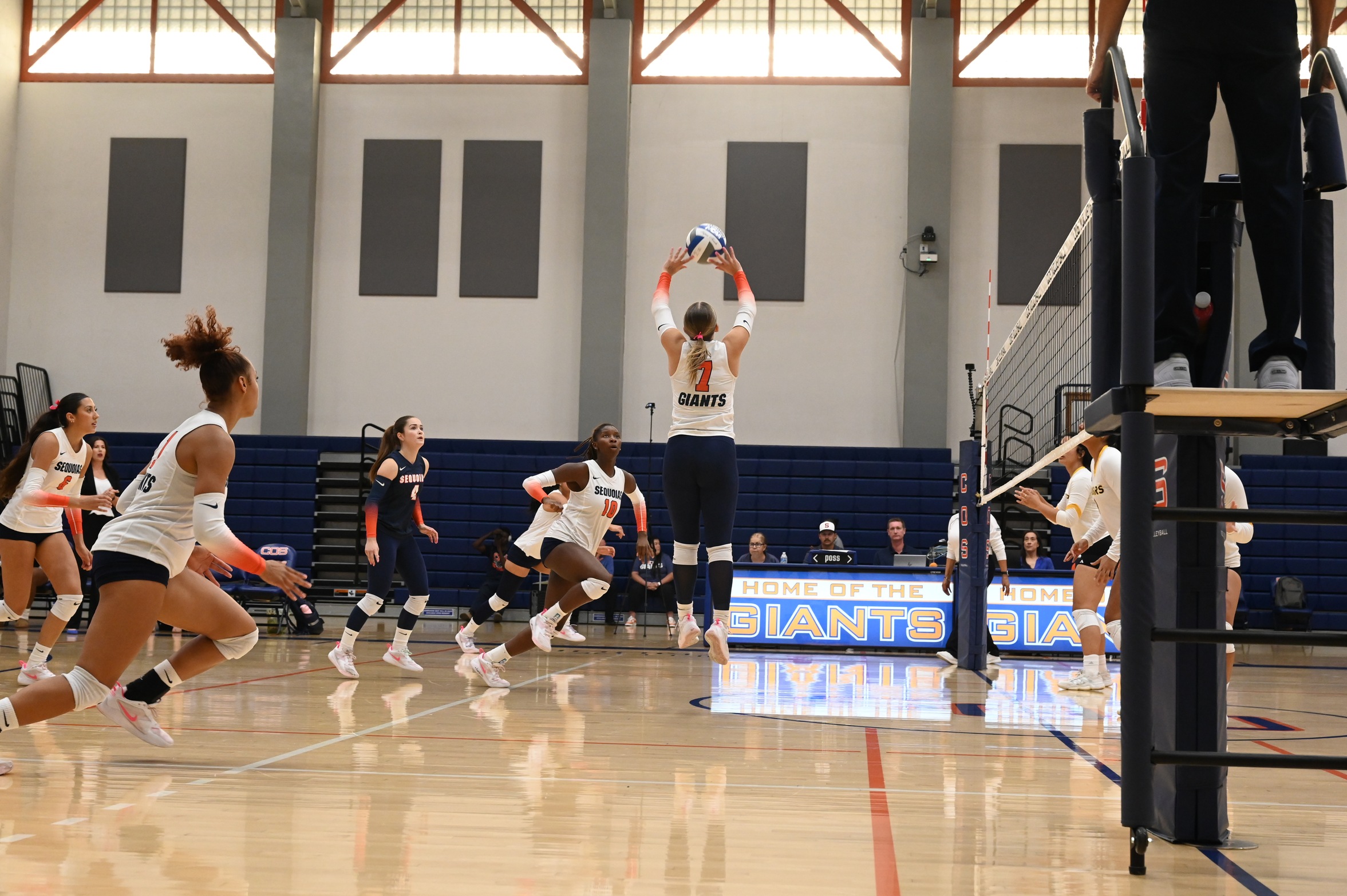 College of the Sequoias' Molly Forehan in the match versus Taft College on October 3, 2025. (Norma Foster / COS Athletics)