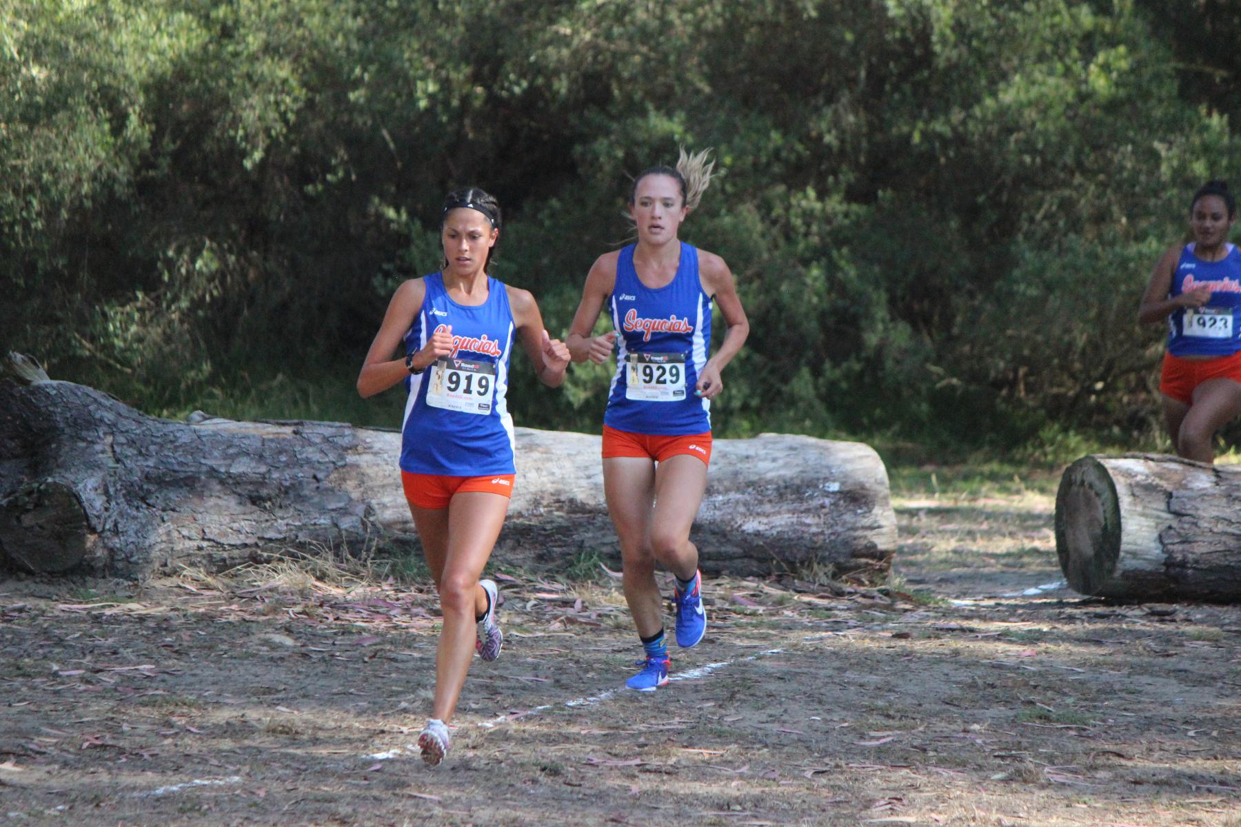 Season's Bests in San Francisco